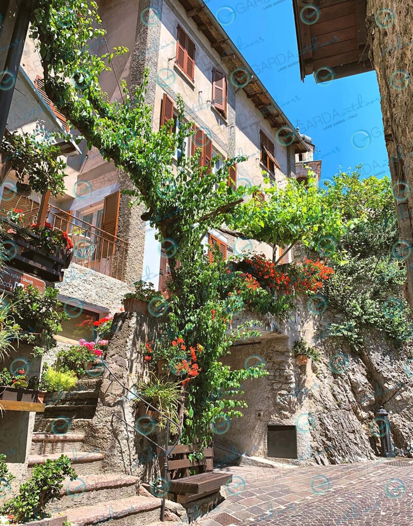 Limone sul Garda – alley with flowers
