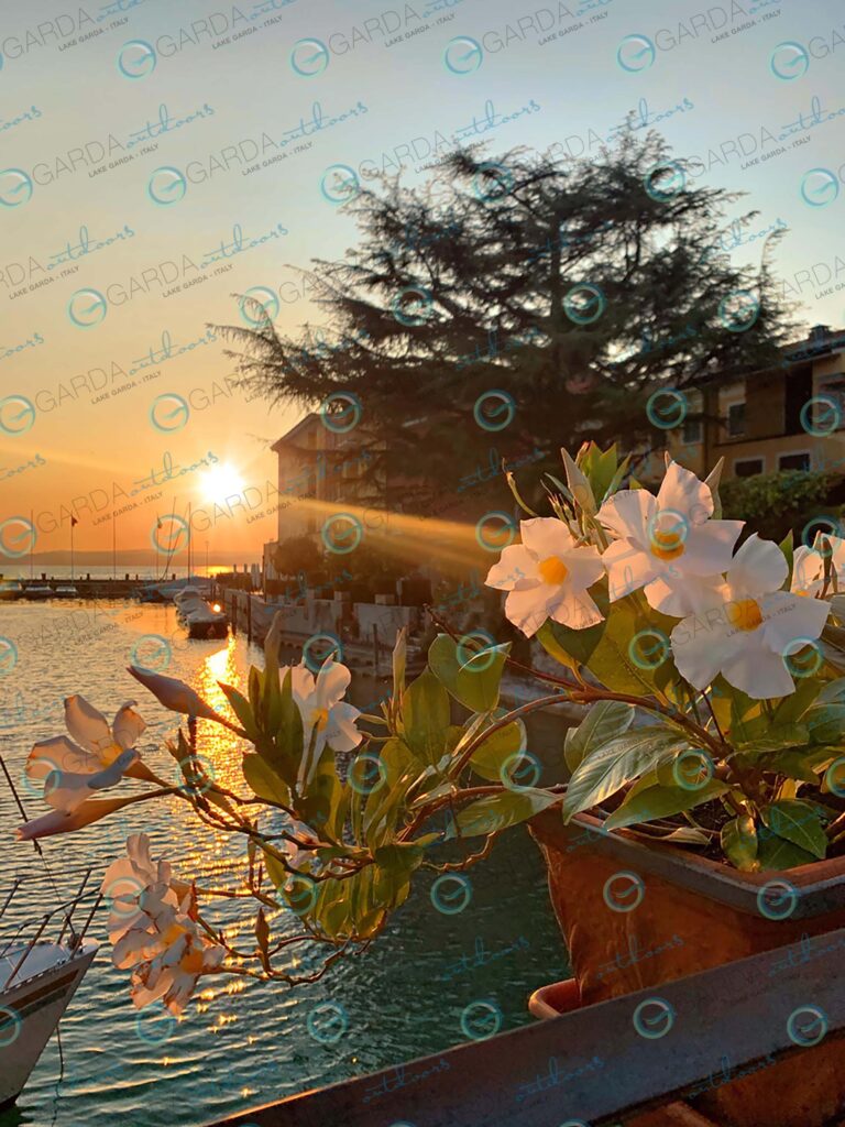 Sirmione – sunset flowers