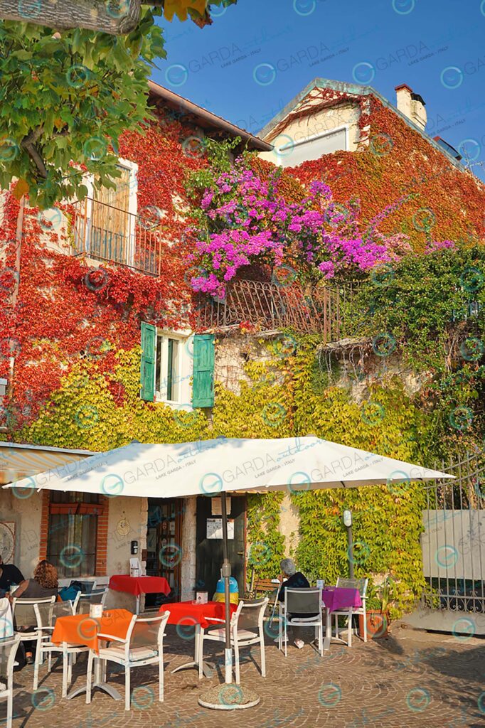 Torri del Benaco – autumn colors