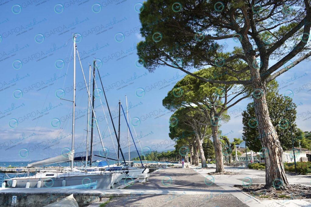 Lazise – boats and trees