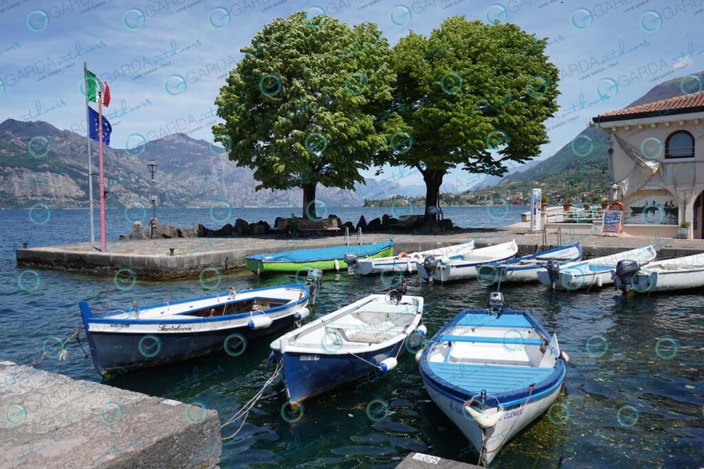 Cassone – boats and trees at the port