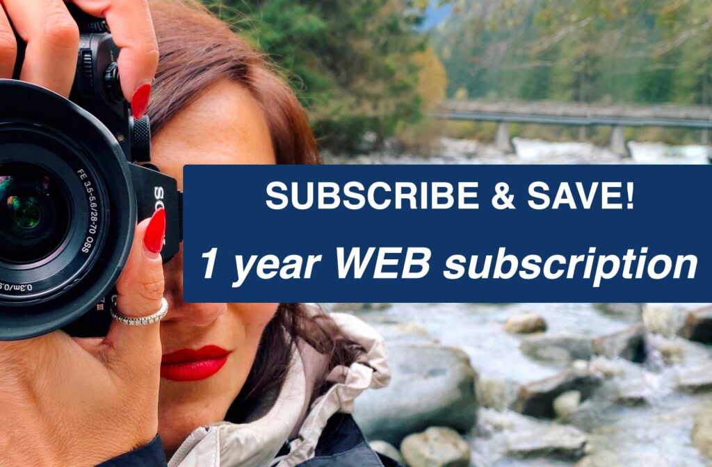 1 year WEB subscription