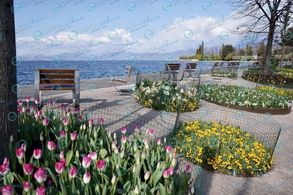 Bardolino – bench and flowers