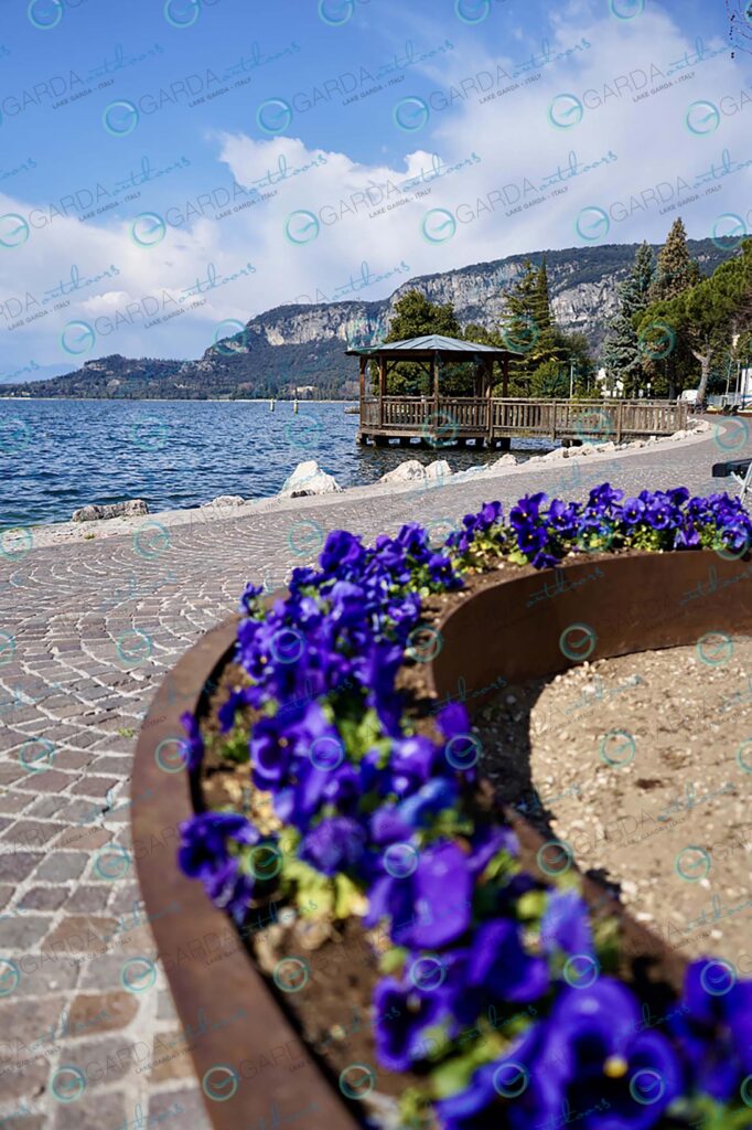 Garda – lakefront with flowers