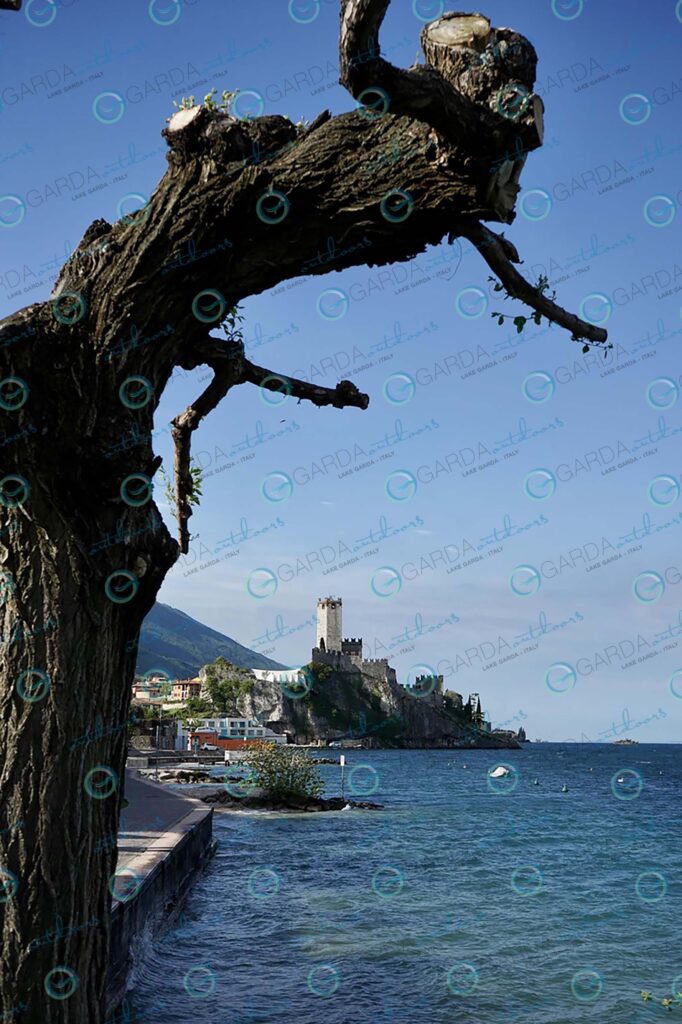 Malcesine Castle from the promenade