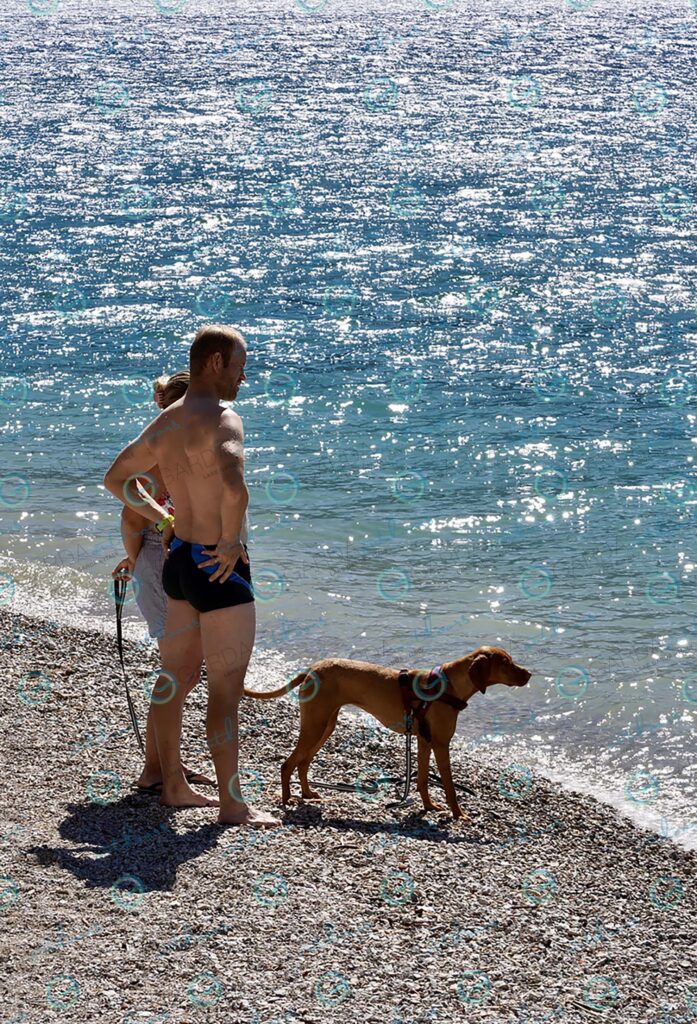 Tignale – dog at the beach