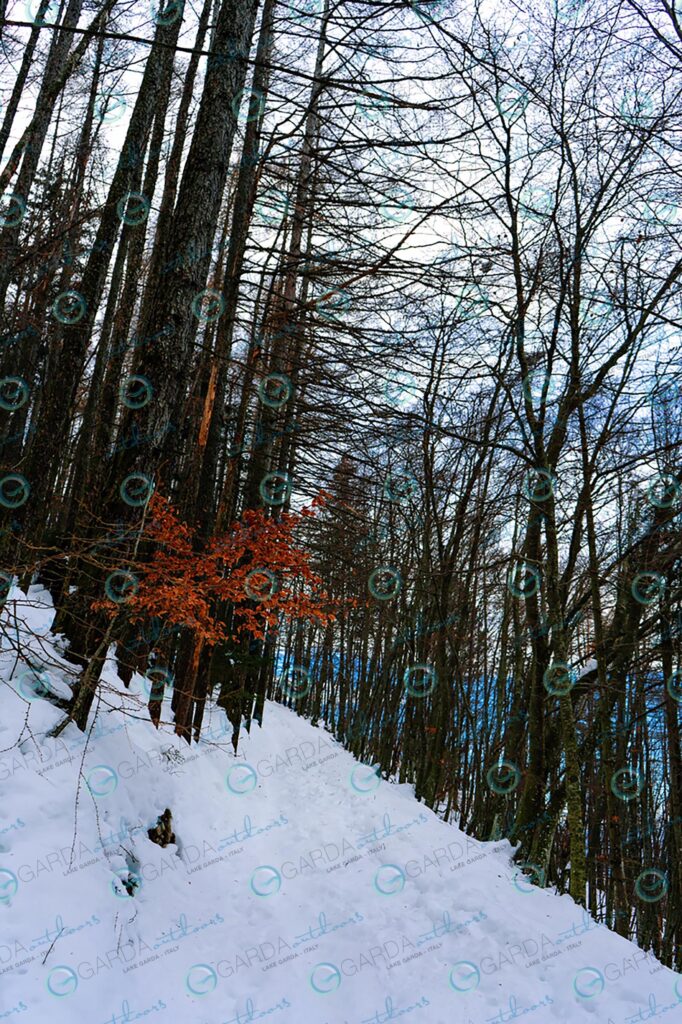 Monte Baldo – winter