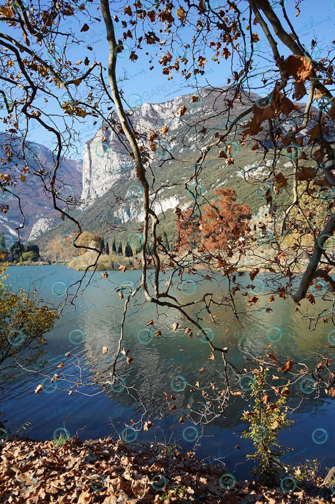 Lago di Toblino – autumn leaves