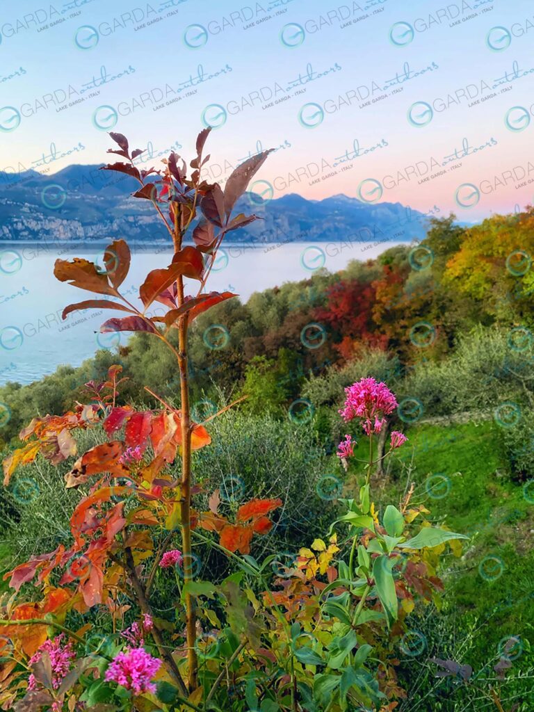 Autumn and nature – Brenzone