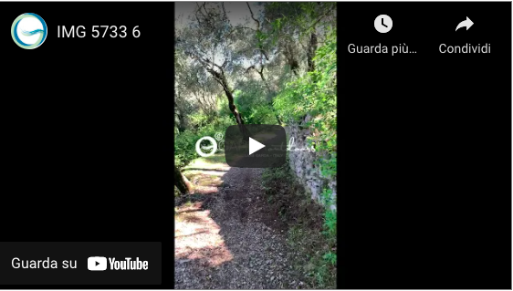 Video Percorso trekking fra gli olivi