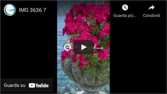 Video Riva del Garda