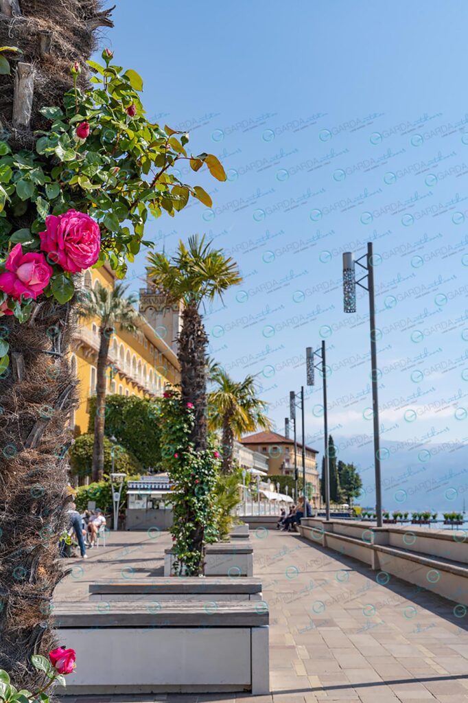 Gardone Riviera – palms and roses