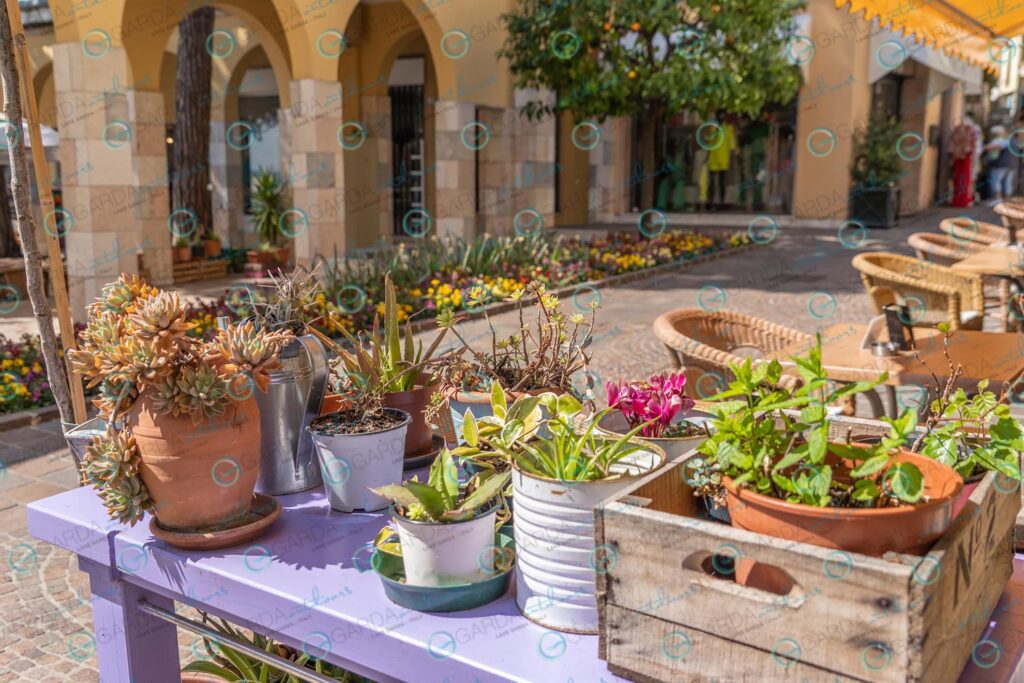 Gardone Riviera – pottery with plants